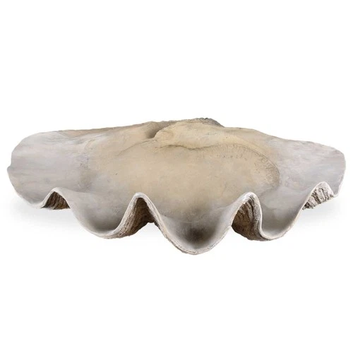Clam - 22.88 inch Shell Bowl - 22.88 inches wide by 13.38 inches deep - Picture 1 of 5