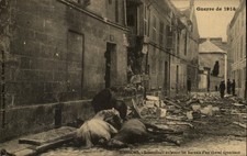 Soissons France Horses Guerre de 1914 vintage postcard s278