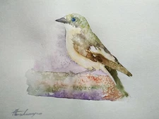 Flycatcher, Birds, Watercolor artwork, Handmade, Original painting on paper