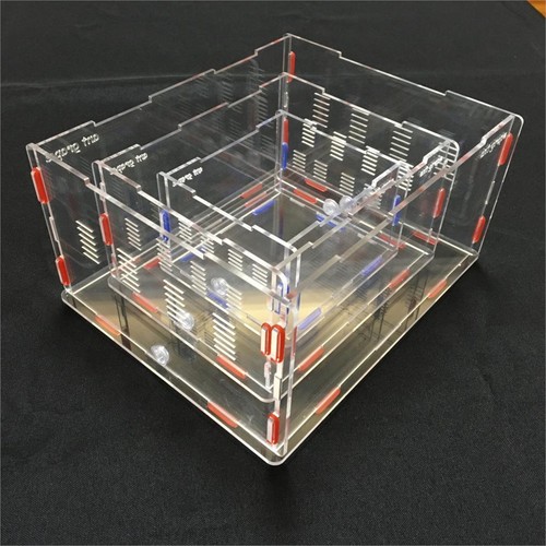 Acrylic Ant Outworld Nest Foraging Feeding Area Farm Housing for Ant Colony New - Picture 18 of 24