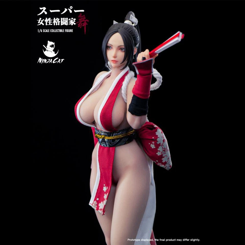 HiPlay Ninja Cat 1/6 Female Fighter - Mai N001 game character Action Figure - Image 4 of 4
