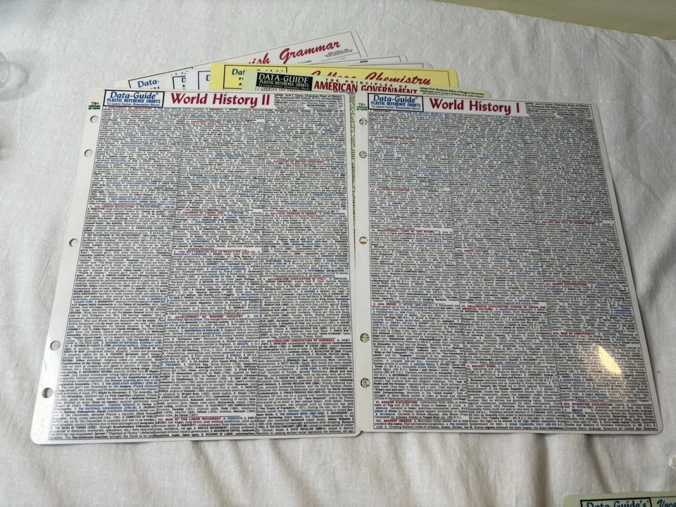 Lot 9 Data-Guide's Charts Grammar Literature History Chemistry Algebra Spanish - Image 3 of 4