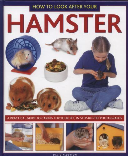 Hamster Care: The Ultimate Guide to Caring for Hamsters