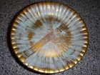 Foto 3 di 7
