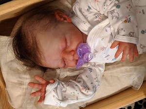 partial silicone reborn