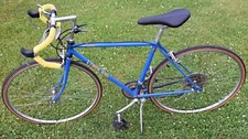 Vintage Mans Trek 610, 19" Steel Frame 18 Speed Bike