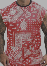 AstoSeu Men's Mesh Sport T Shirt Terra Cotta White Size 2XL Casual Vacation