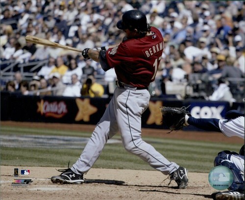 Lance Berkman Houston Astros MLB Licensed Baseball Unsigned 8x10 Glossy Photo A