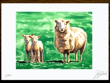 Limited Art Printing Graphic "SHEEP" Graphic, Graphic, Hand Signed, Numbered