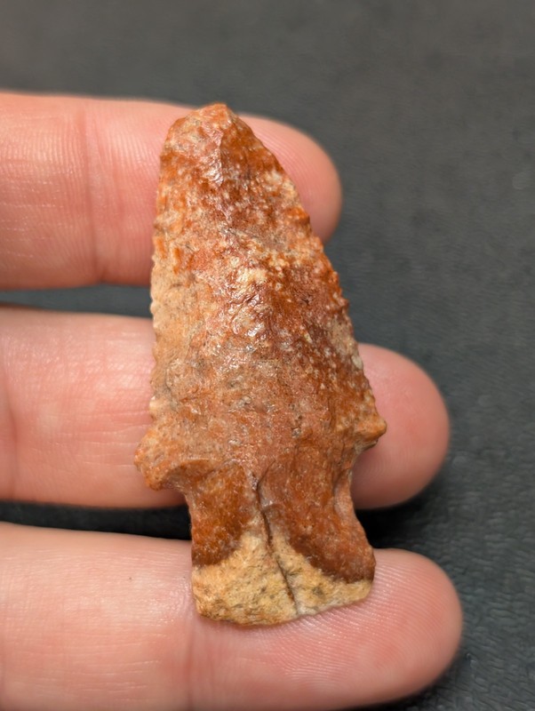 Colorful Arrowhead Artifact from Lee County Mississippi 