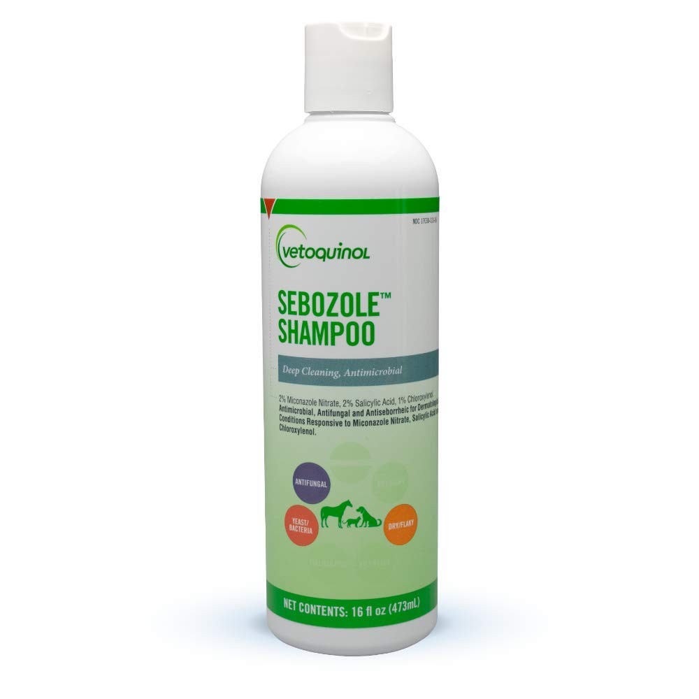 With Miconazole Nitrate 2 And Chloroxylenol 1,
