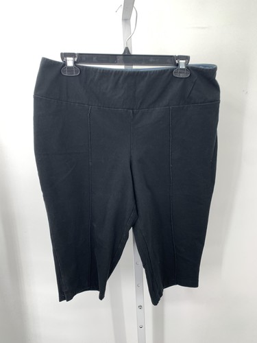 Women with Control Size Large Petite Petite Capri Pants