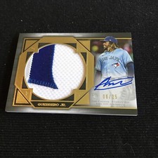 Vladimir Guerrero Jr Rookie Cards Top List, Prospects, RC Vladimir Guerrero Jr Rookie Cards Top List, Prospects, RC