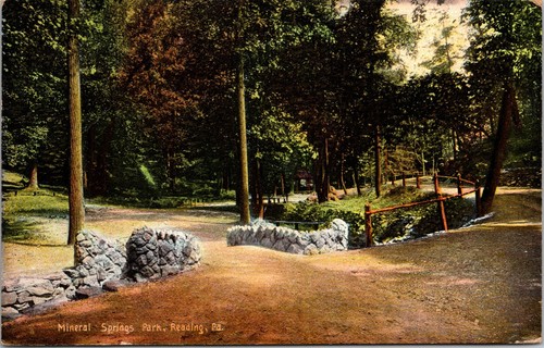 Mineral Springs Park Reading Pennsylvania Posted 1909 Divided Back Postcard E6 - 第 1/2 張圖片