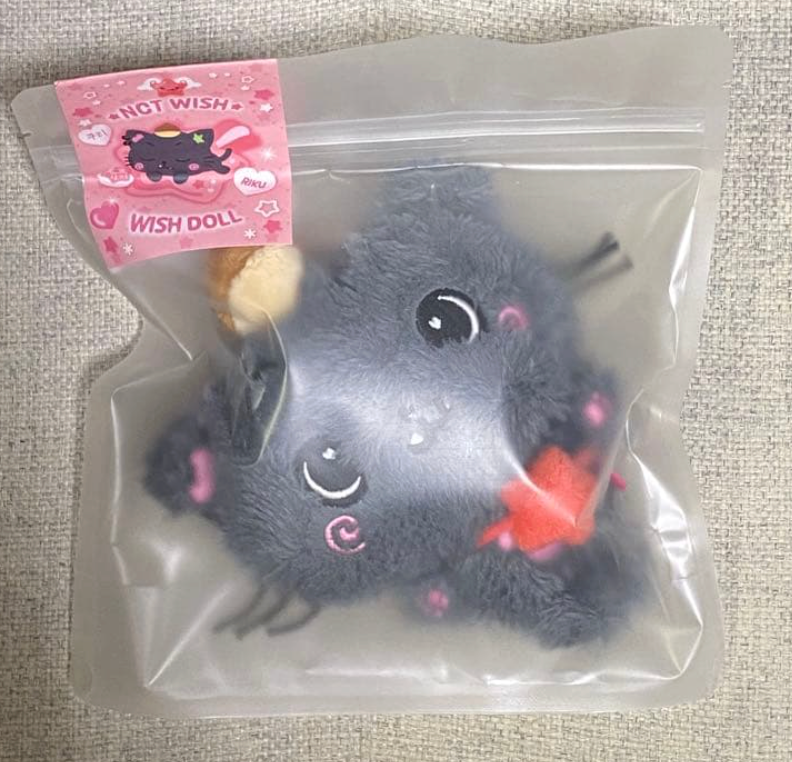 NCT WISH The 1st Mini Album Steady MD WISH DOLL NEW | eBay