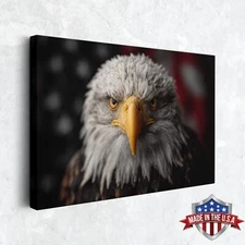 Guardian of the Flag Patriotic Wall Art, Canvas Print for Home Decor, Art Poster