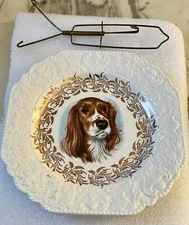 Vintage Lord Nelson Pottery Taylor Spaniel Collectable Plate A4-5
