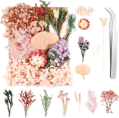 Natürliche Trockenblumen Zum Basteln Mini Getrocknete Blumen Klein Dried Flowers
