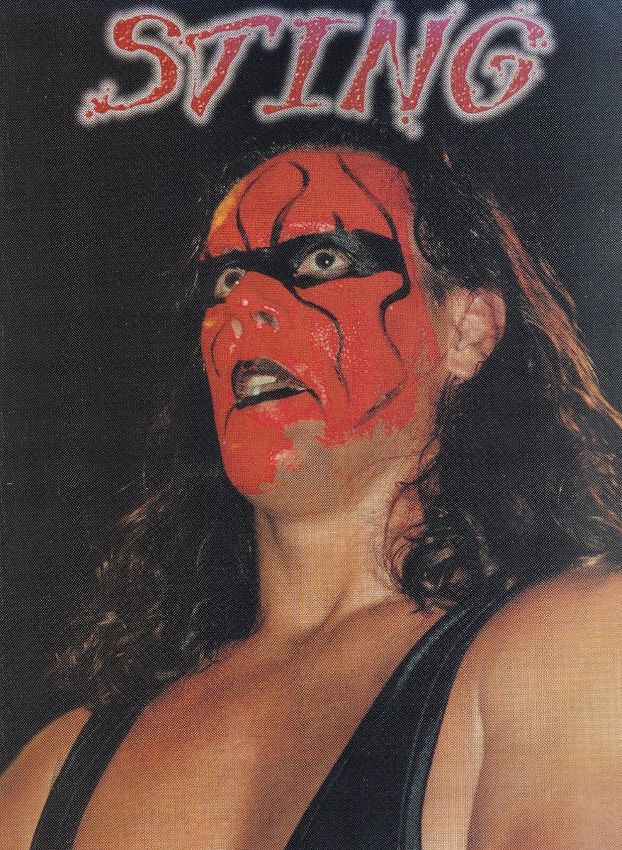 Hollywood Hulk Hogan & Sting Original 8x10.5 Magazine Page WCW NWO
