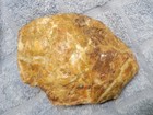 Lot Of 3 Brecciated Jasper Red Green Yellow Orange 5+ lbs Rough — photo 9