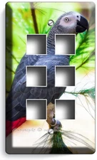 AFRICAN GREY RED TAIL PARROT LIGHT SWITCH OUTLET WALL PLATES PET SHOP ROOM DECOR
