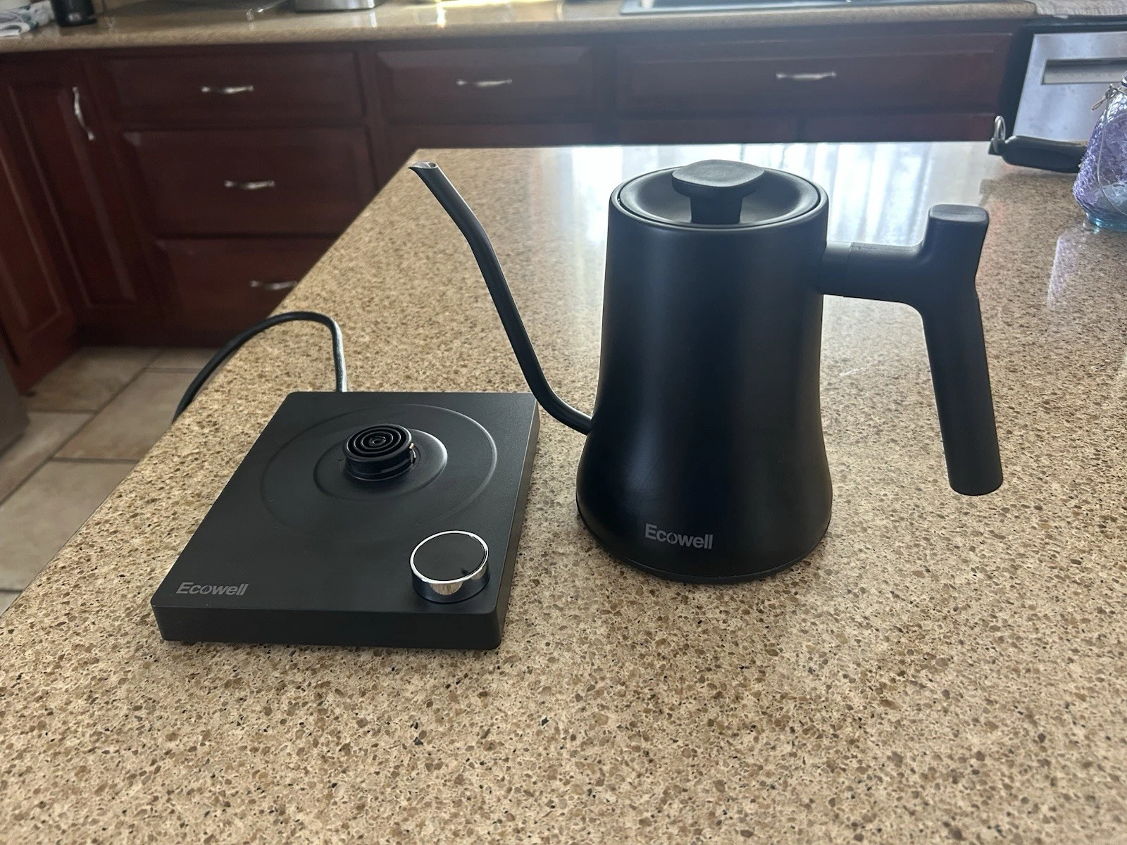 WMTS01 Gooseneck Electric Kettle, 0.8L Stainless Steel Electric Tea Kettle