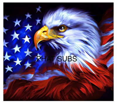 20oz Sublimation Tumbler Wrap USA Eagle Ready To Press Heat Transfer