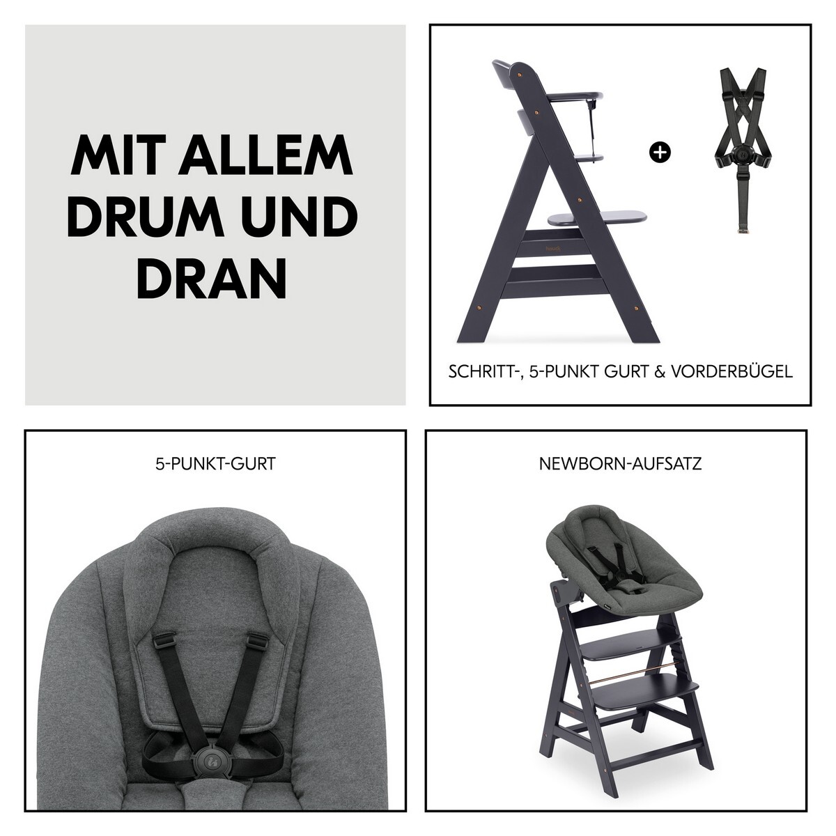 Bild 7 von 12
