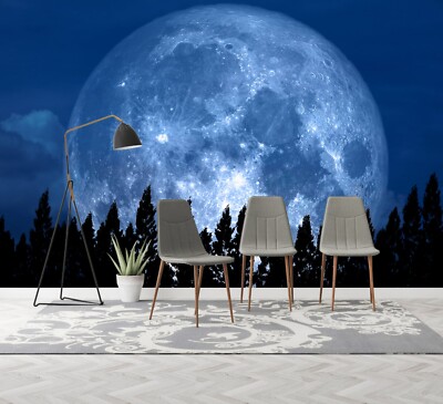 3D Planet Wald Q1033 Tapete Wandgemälde Fototapete Selbstklebend Kay