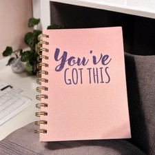 spiral notebook journal lined You  ll Got This