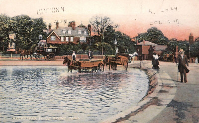 England London Hampstead White Stone Pond Vintage 1910 Postcard