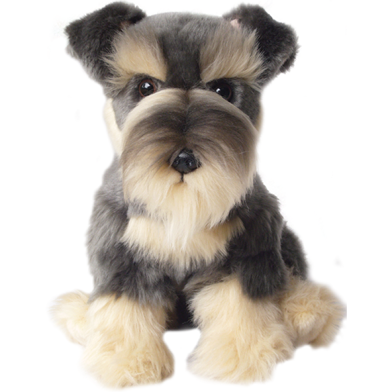 Are Miniature Schnauzers Cuddly