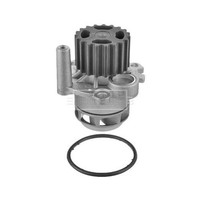 Skoda Fabia Ii 542 2006-2014 Wasserpumpe BWP1934
