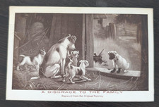 Cartolina Jack Russell Terrier mamma cane guarda cucciolo imbarazzato famiglia vergogna