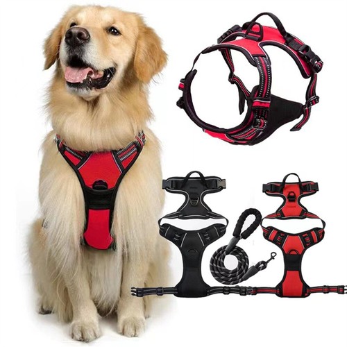 Hundegeschirr Brustgeschirr Hunde verstellbar S M L XL gepolstert Nylon reflekt - Bild 1 von 9