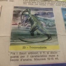 FIGURINA  N. 23 IL REGNO ANIMALE ED. CDC 1969 OTTIMA  Da Recup