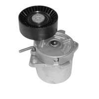 Europa Motori Kettenspanner Lager FüR BMW 3 - Z3 OE 11281432104