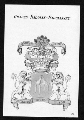 ca. 1820 Radolin-Radolinski Wappen Adel coat of arms Kupferstich antique print