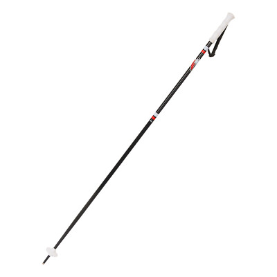 F2   SKI Stöcke Ski Pole - Aluminium  120 cm  2024/25