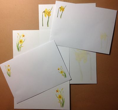 Bunte Narzissen Blumen Brief Schreibpapier & Umschläge Schreibwaren Set 8+4