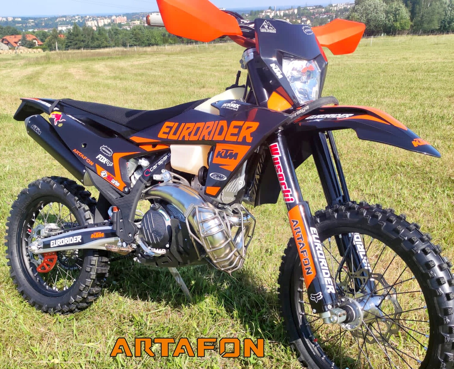 Bild 11 von 12