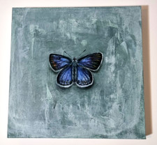 Butterfly II - NEW! original acryl painting on deep canvas 13.5x13.5inch