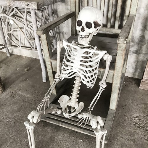 165cm Skeleton Full Size Poseable Human Joints Halloween PartyProp Haunted House - Picture 10 of 20