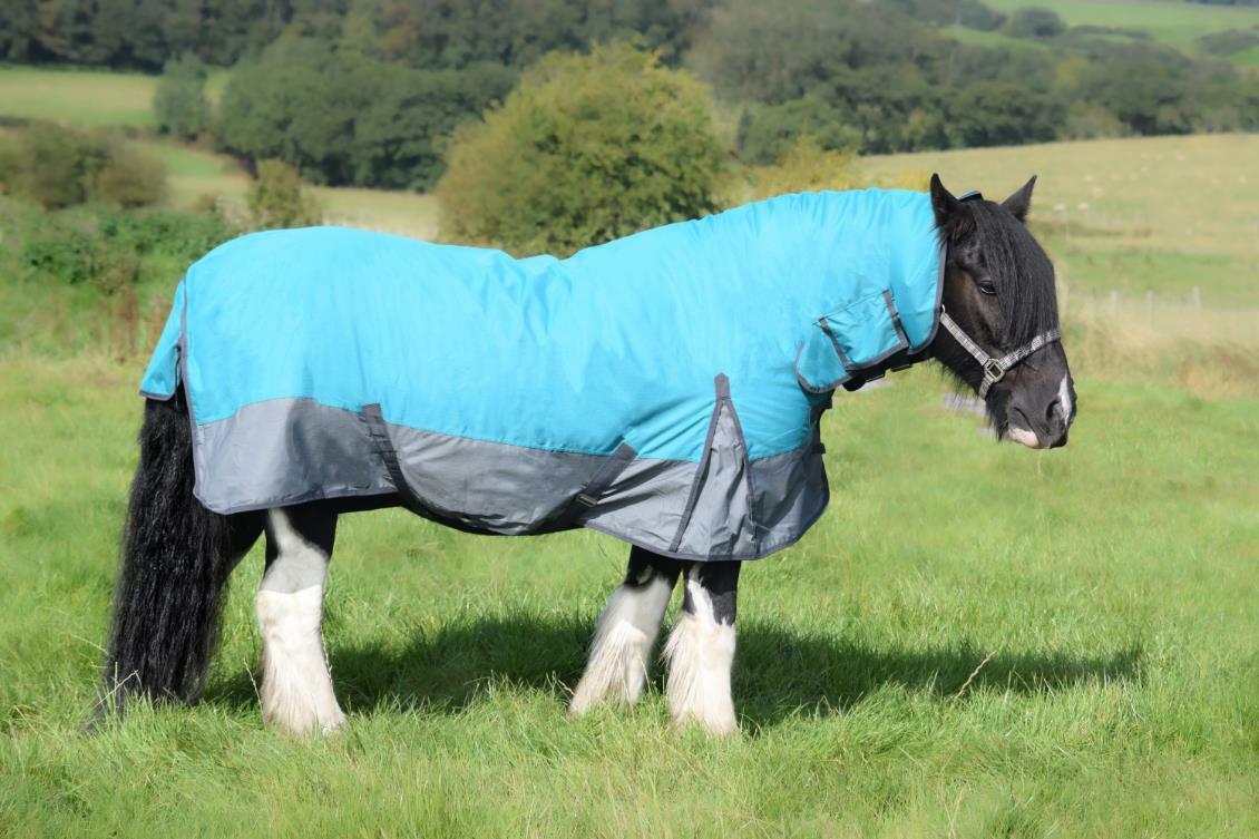 1200D Lightweight Turnout Horse Rug Waterproof Combo Full Neck Aqua