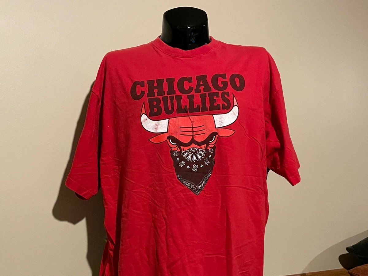 Vintage CHICAGO BULLS STREET BULLIES IcedOut t-shirt 4XL Rap Michael Jordan