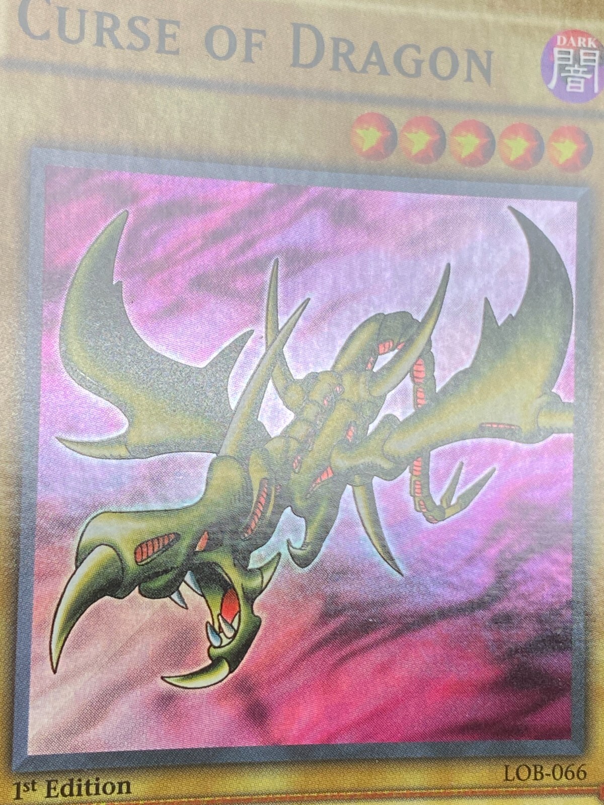 Picture 10 of 19
