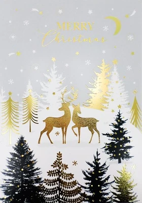 SECOND NATURE Surprise 3D Pop Out Reindeers Magical Christmas Pop Up Greeting Card