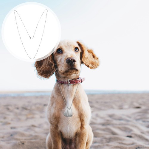 10 Pcs Pet Necklace Man Dog Necklaces for Small Dogs Stainless Steel Bead Chain