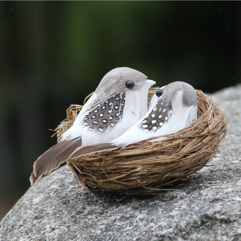 Lovesmile 6 Stück Deko Vögel mit Clip, Schaum Vogel Deko, Requisiten Deko Vogel, Vögel Deko, Deko Vögel Geeignet für Ostern Garten Party Hochzeit Basteln Dekoration (Bunte Lovesmile 6 Stück Deko Vögel mit Clip, Schaum Vogel Deko, Requisiten Deko Vogel, Vögel Deko, Deko Vögel Geeignet für Ostern Garten Party Hochzeit Basteln Dekoration (Bunte