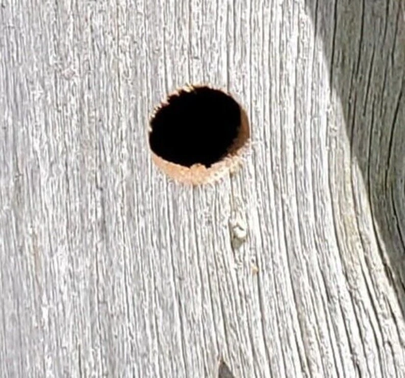 Деревенский шпильный скворечник 15 дюймов | деревянный уличный декор ручной работы для крапивника - Изображение 4 из 4